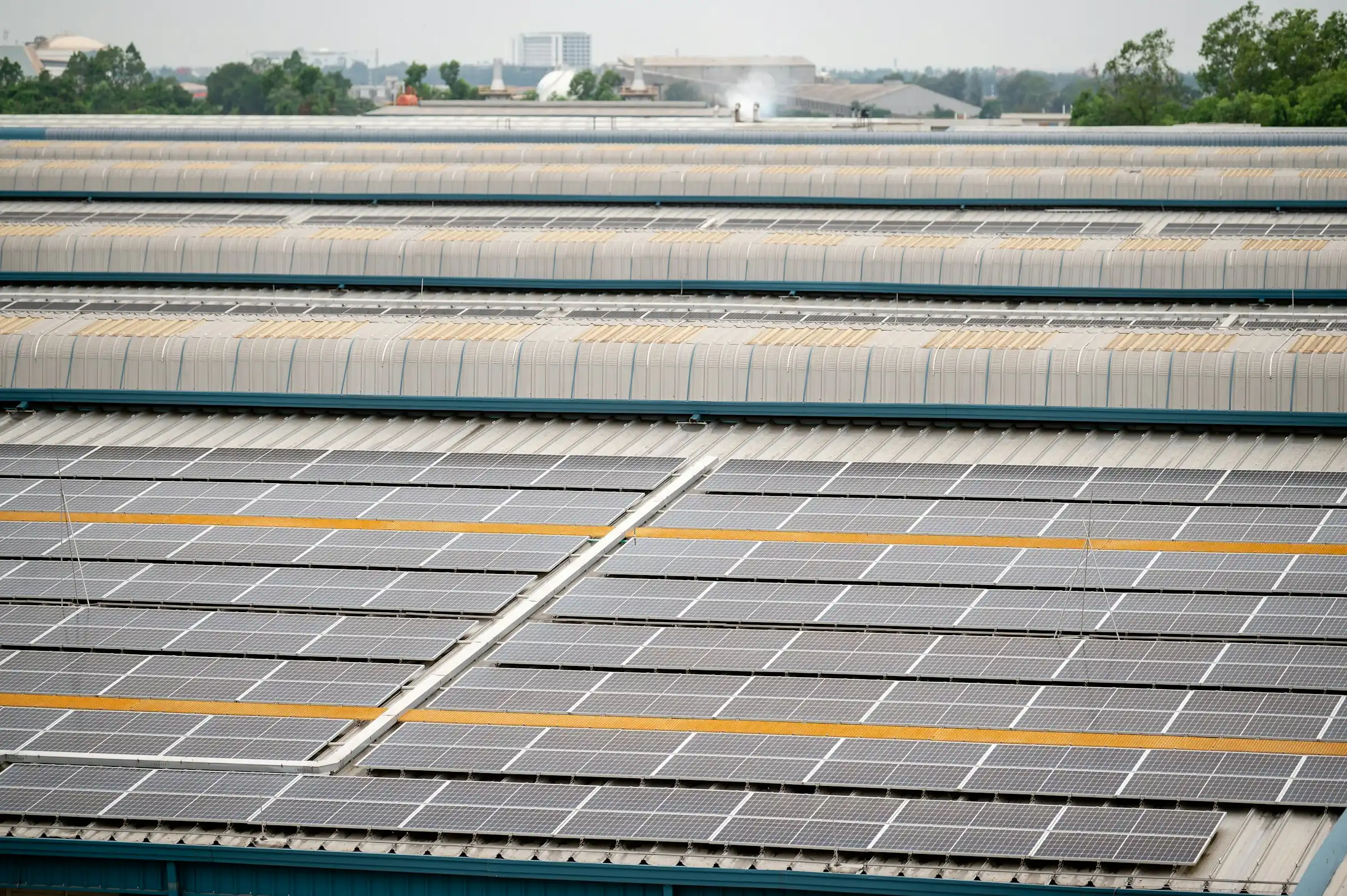 Rows of solar panels covering the roof of a large industrial building