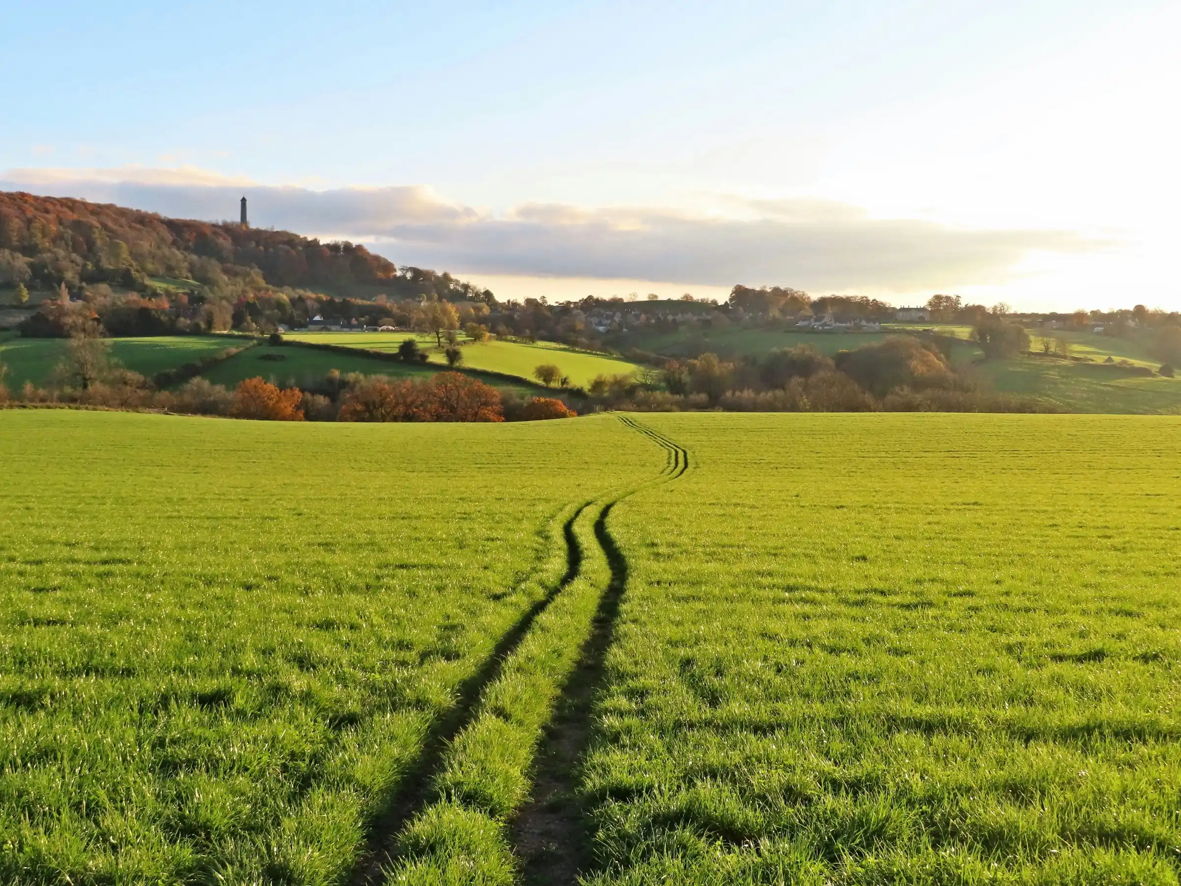A green field on the Cotswold Way near Dursley, Gloucestershire