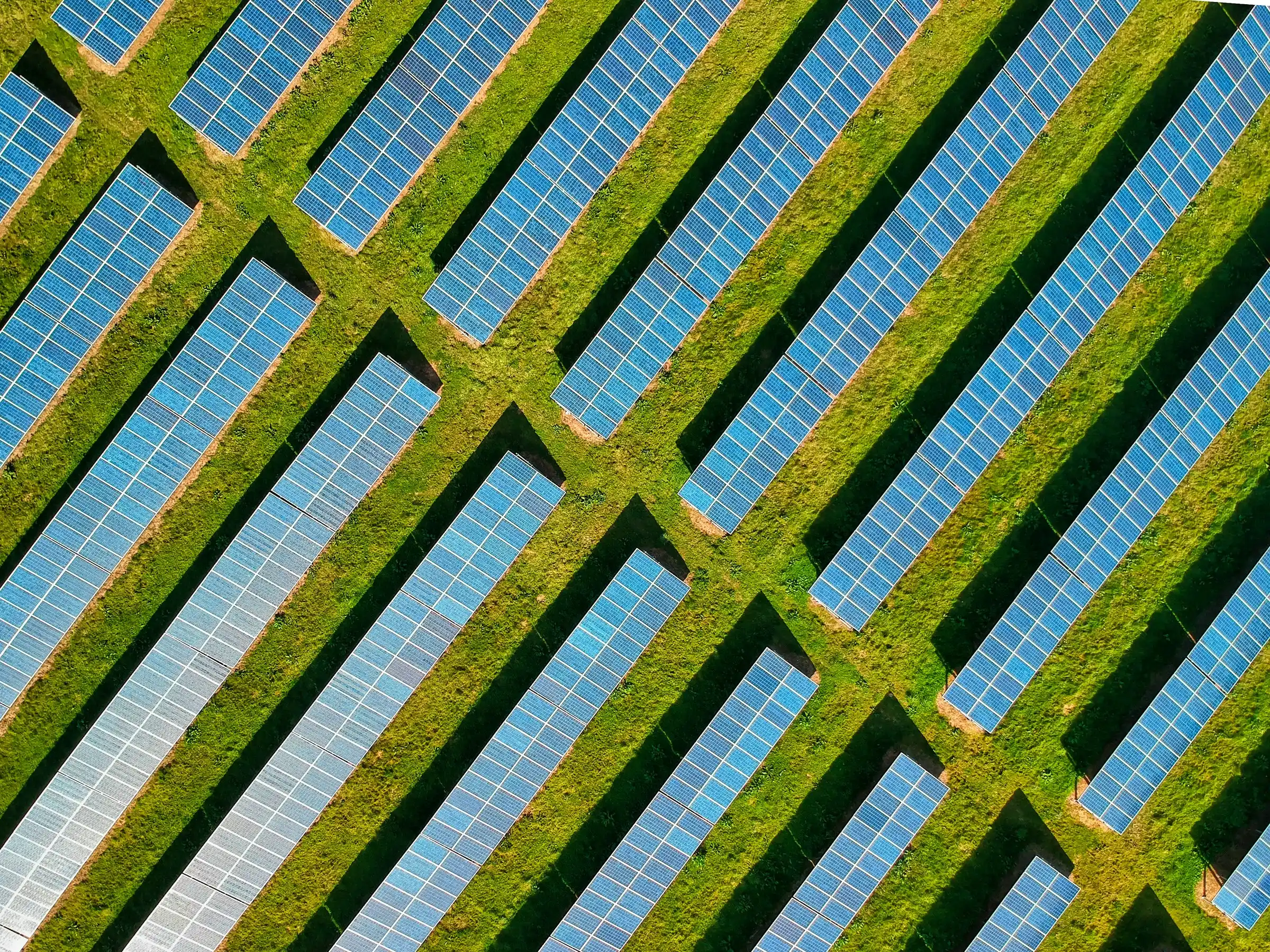 Aerial view of rows of solar panels on green grass
